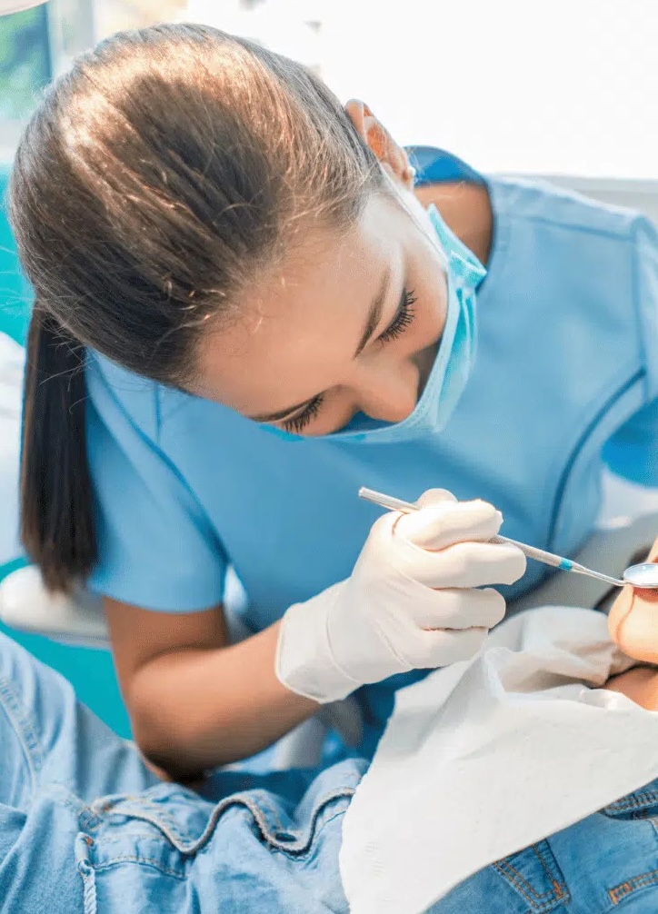 WordPress Web Hosting 6 dentist seo services